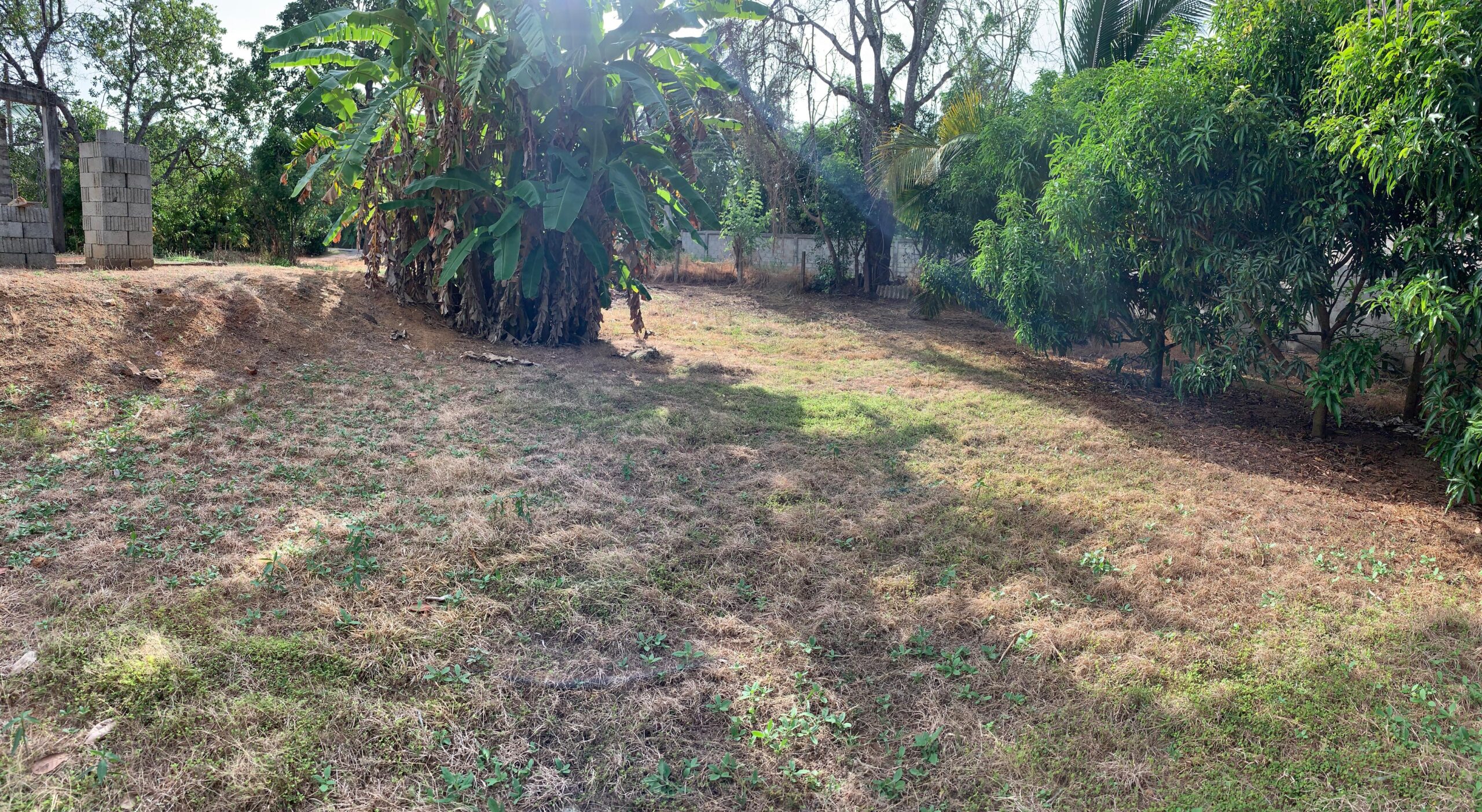 Land with House for Sale in Anuradhapura