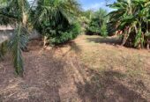 Land with House for Sale in Anuradhapura