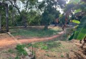 Land with House for Sale in Anuradhapura
