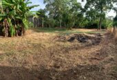 Land with House for Sale in Anuradhapura