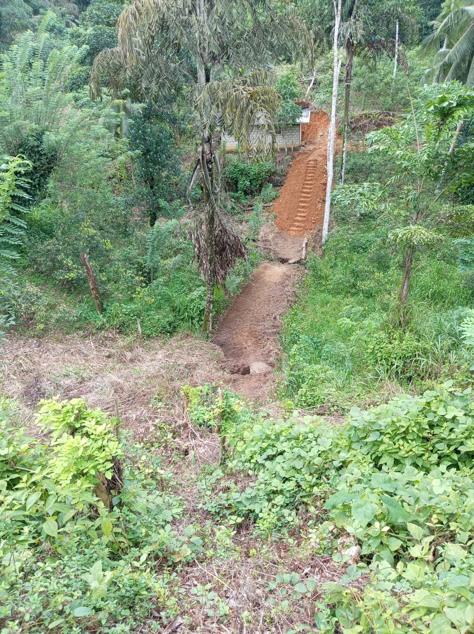 ගාල්ල අකුරැස්ස පාරට ආසන්නයෙන් තේ වගාවට වටිනා ඉඩමක්