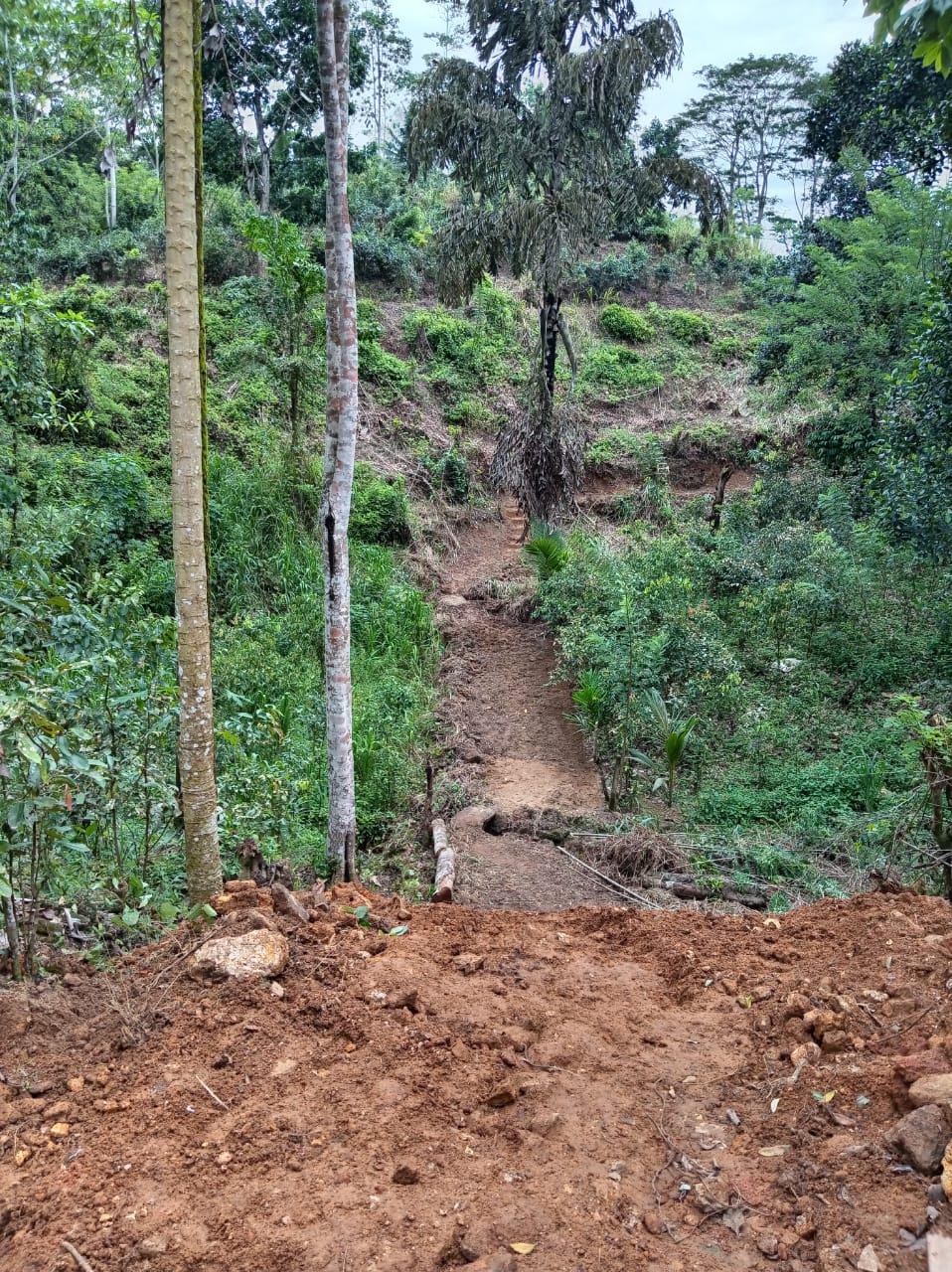 ගාල්ල අකුරැස්ස පාරට ආසන්නයෙන් තේ වගාවට වටිනා ඉඩමක්