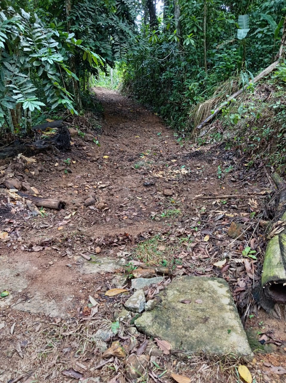 ගාල්ල අකුරැස්ස පාරට ආසන්නයෙන් තේ වගාවට වටිනා ඉඩමක්