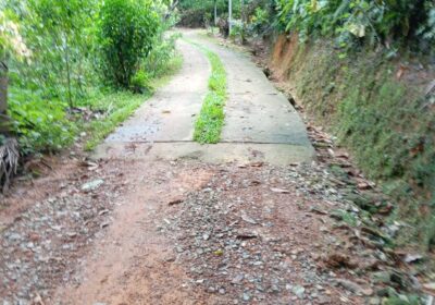 ගාල්ල අකුරැස්ස පාරට ආසන්නයෙන් තේ වගාවට වටිනා ඉඩමක්