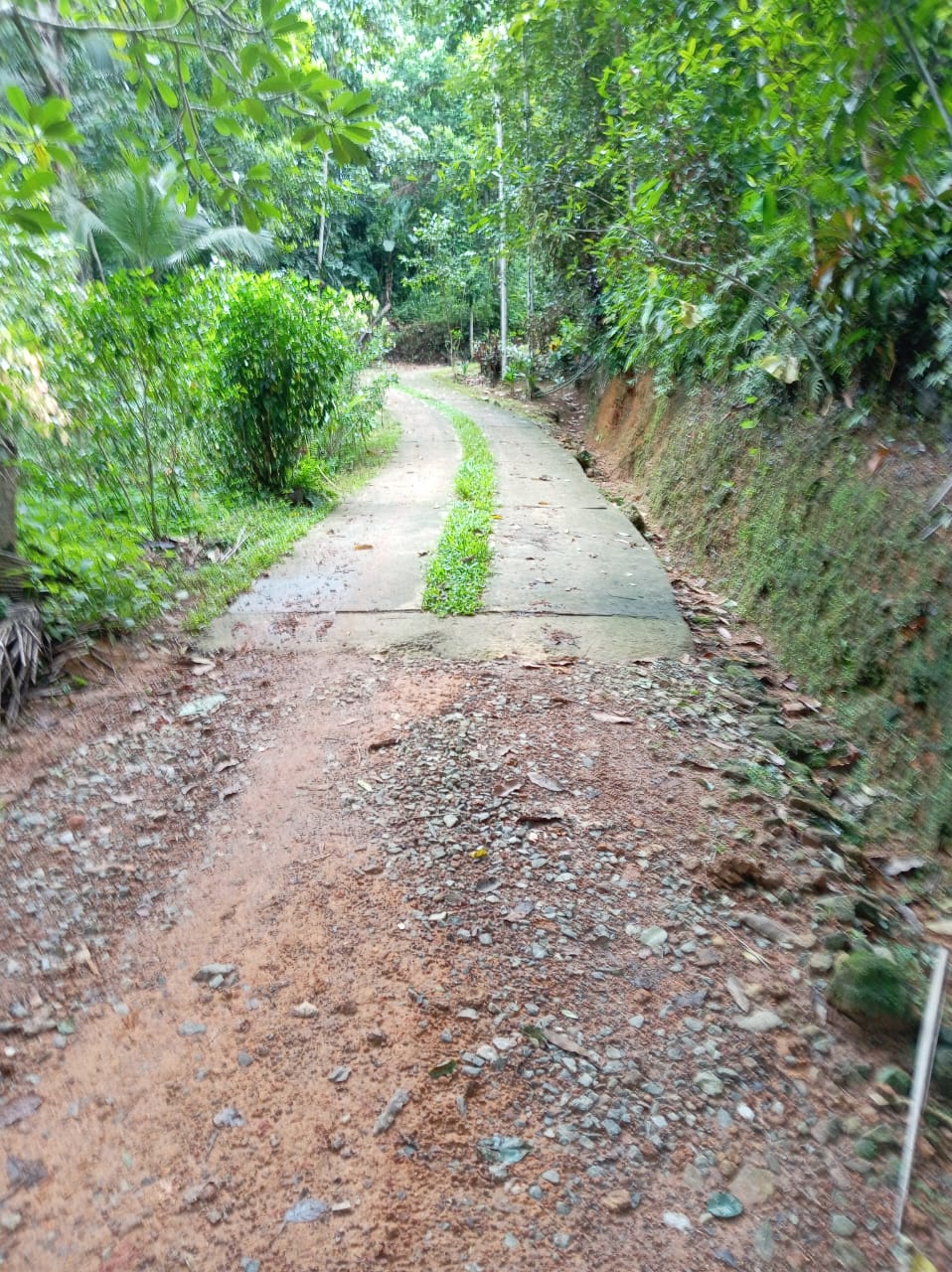 ගාල්ල අකුරැස්ස පාරට ආසන්නයෙන් තේ වගාවට වටිනා ඉඩමක්