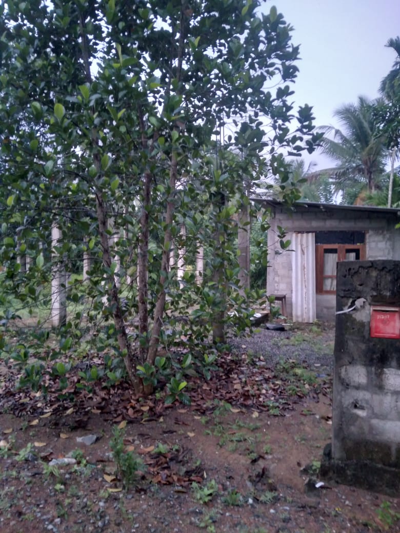 Kahathuduwa land Vikinimata