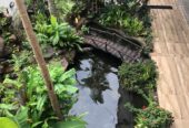 House for Sale in Colombo 03