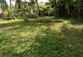 Land For Sale In Gampaha
