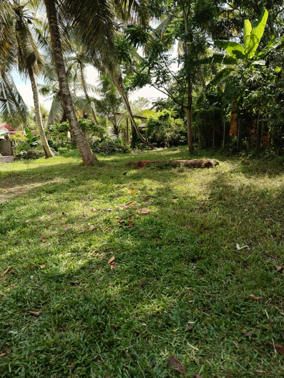 Land For Sale In Gampaha