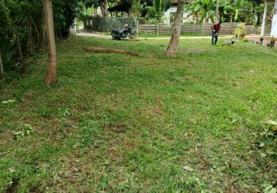 Land For Sale In Gampaha