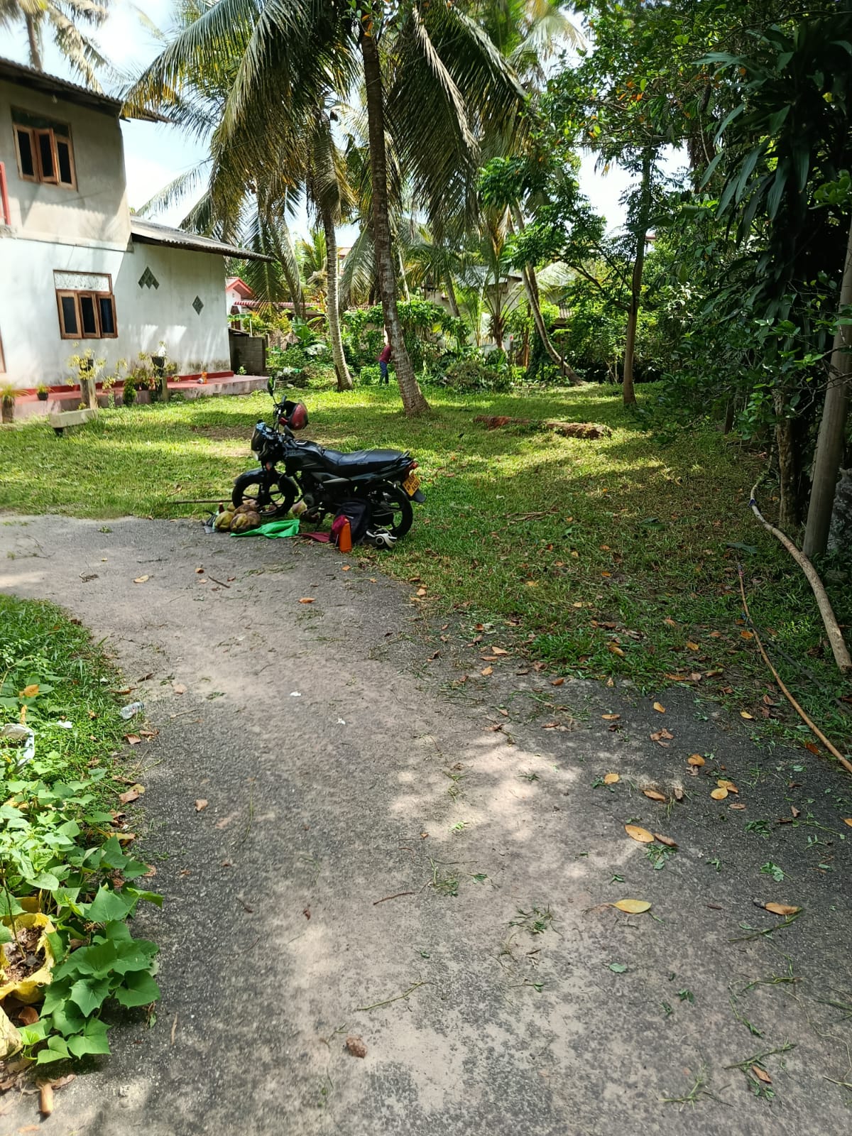 Land For Sale In Gampaha