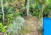 land for sale in දෙනියාය