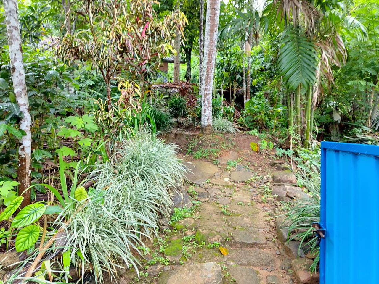 land for sale in දෙනියාය