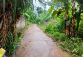 land for sale in දෙනියාය