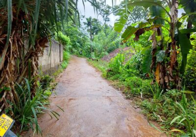 land for sale in දෙනියාය
