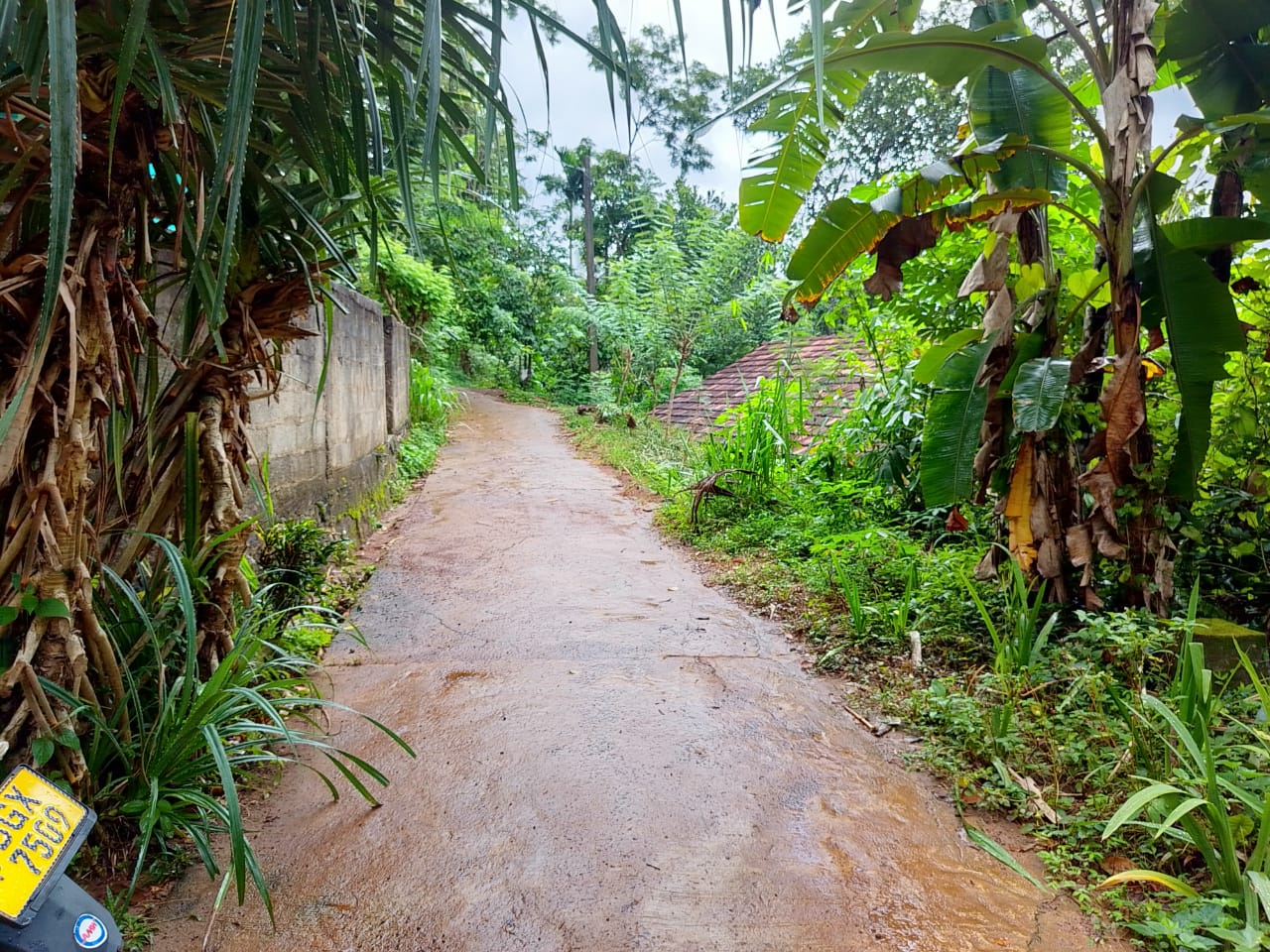 land for sale in දෙනියාය