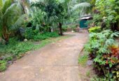 land for sale in දෙනියාය