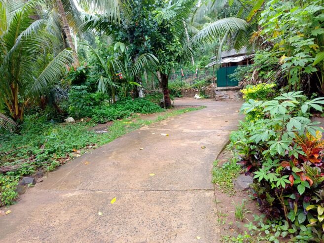 land for sale in දෙනියාය