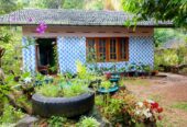 land for sale in දෙනියාය