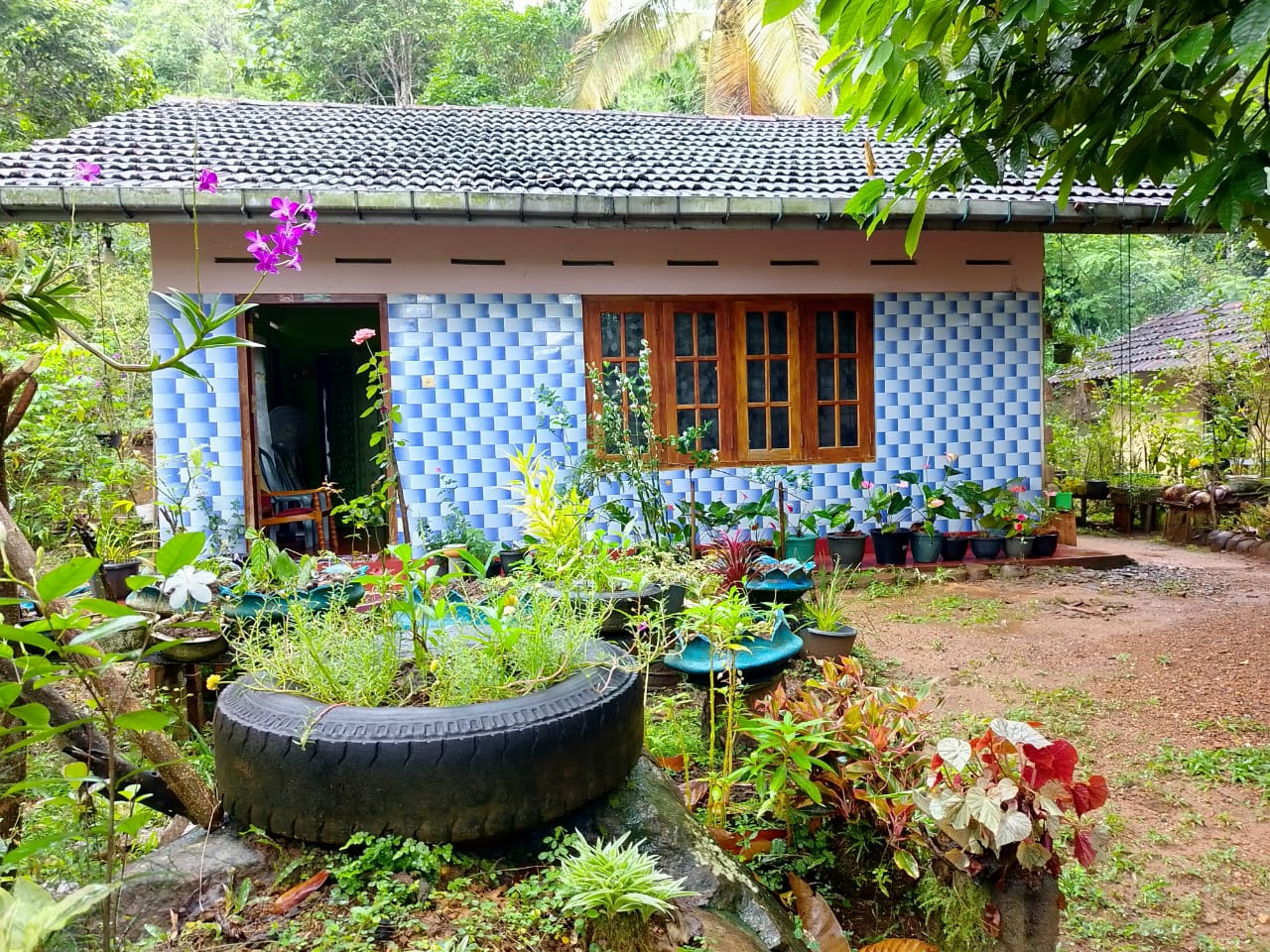 land for sale in දෙනියාය