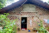 land for sale in දෙනියාය