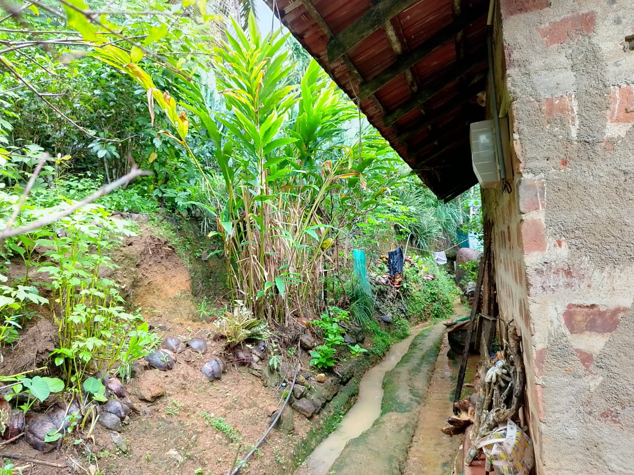 land for sale in දෙනියාය