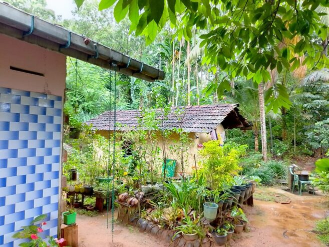 land for sale in දෙනියාය
