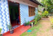 land for sale in දෙනියාය