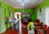 land for sale in දෙනියාය