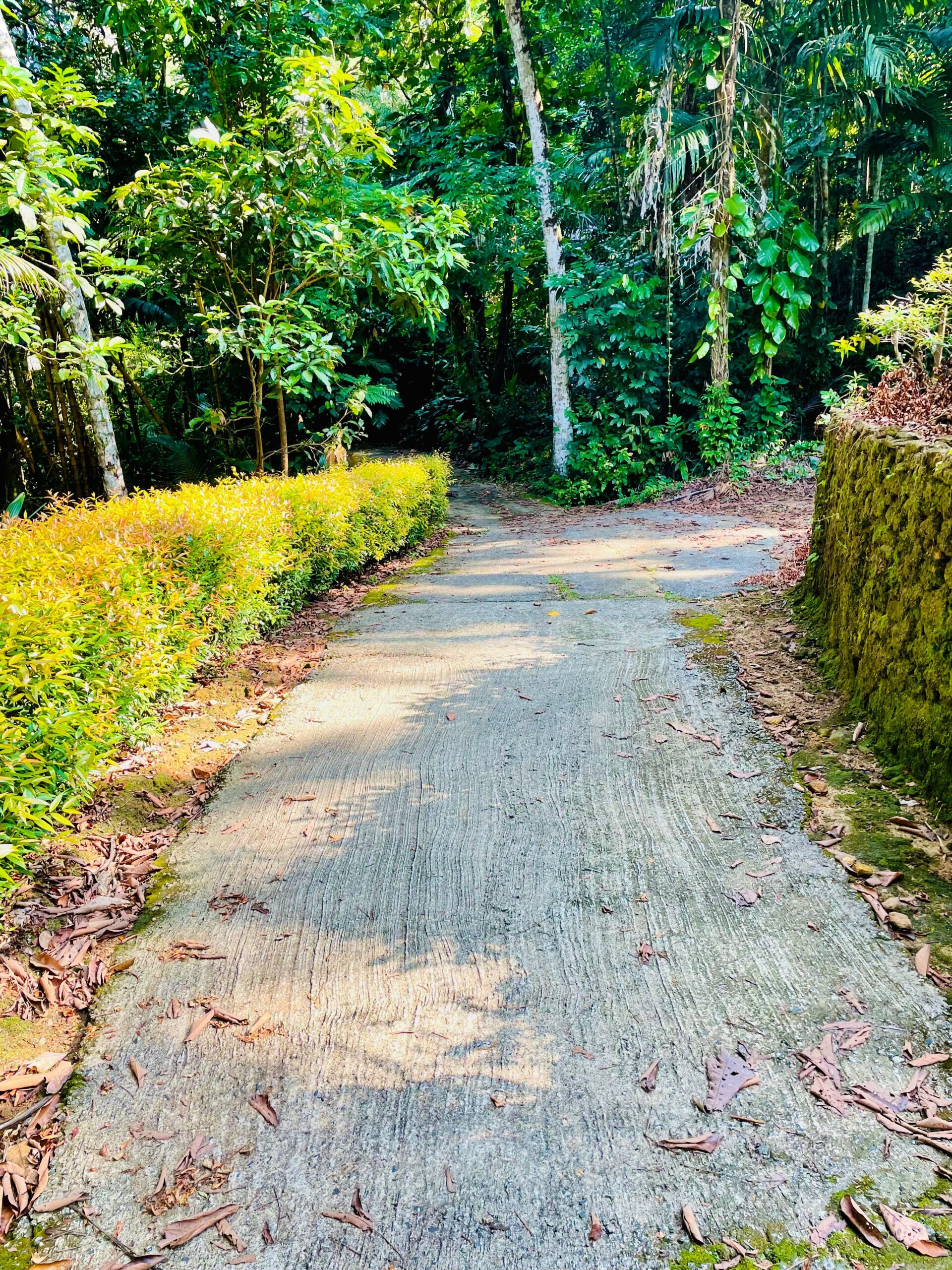 House with Land for Sale Galle