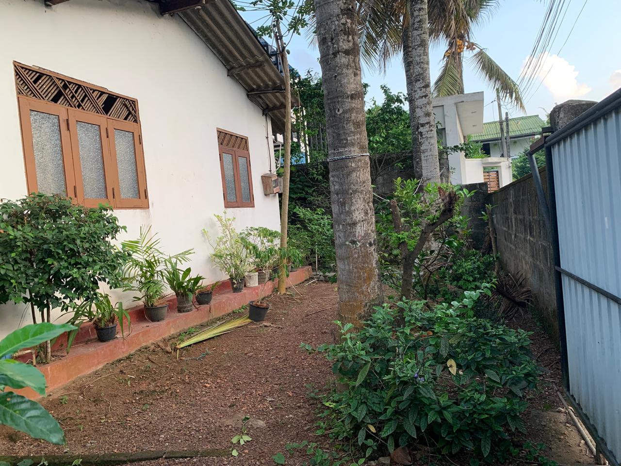 15 Perches Land with Old House for Sale – Embuldeniya