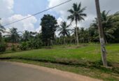 Land for Sale in West Weliweriya