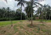 Land for Sale in West Weliweriya