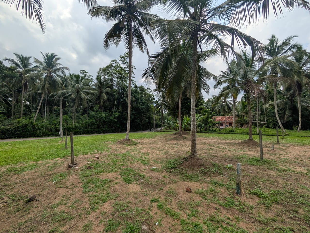 Land for Sale in West Weliweriya
