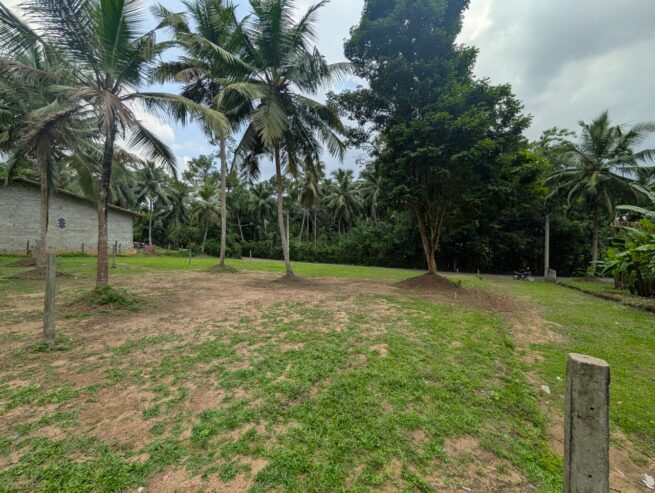 Land for Sale in West Weliweriya