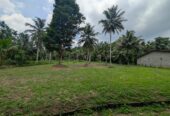 Land for Sale in West Weliweriya