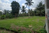 Land for Sale in West Weliweriya