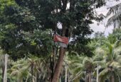 Land for Sale in West Weliweriya