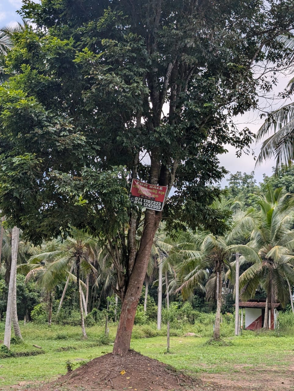 Land for Sale in West Weliweriya