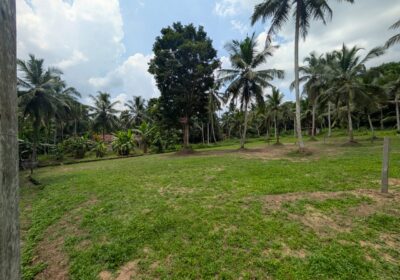 Land for Sale in West Weliweriya