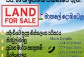 Land For Sale In Matale