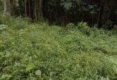 Land For Sale In Matale