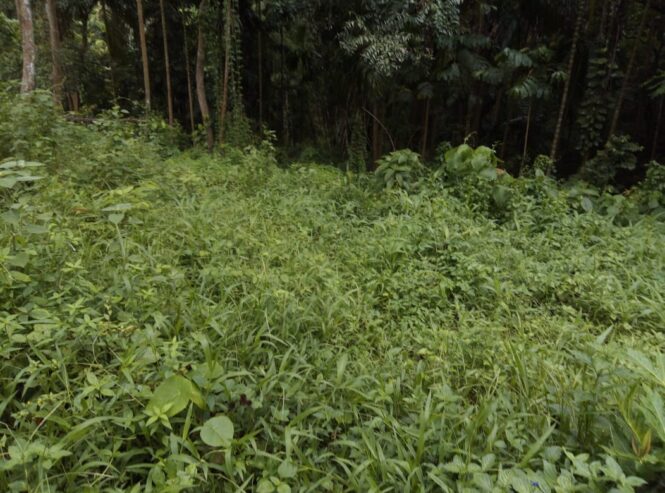 Land For Sale In Matale