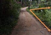 Land For Sale In Matale