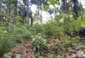 Land For Sale In Matale