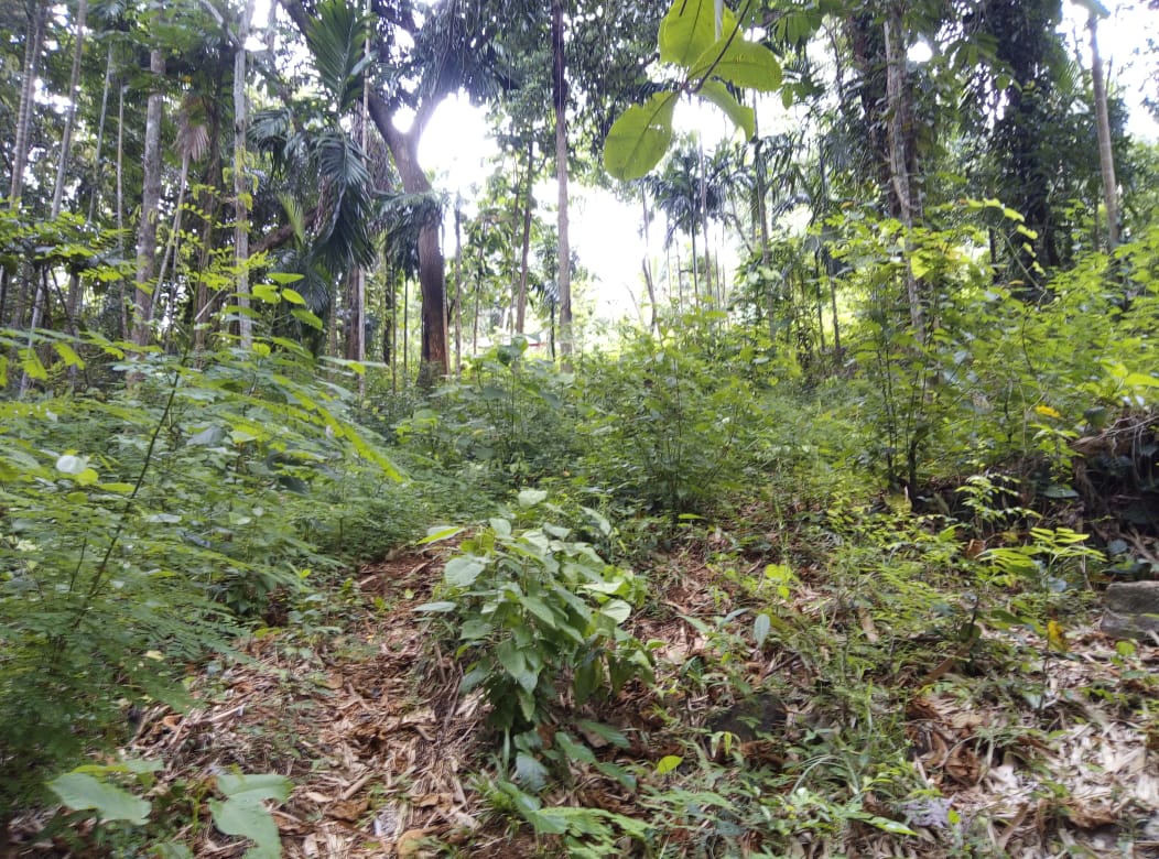 Land For Sale In Matale
