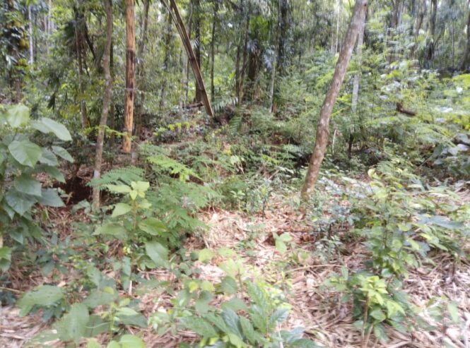 Land For Sale In Matale