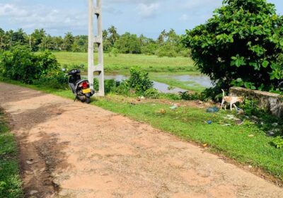 Land For sale In Ahangama