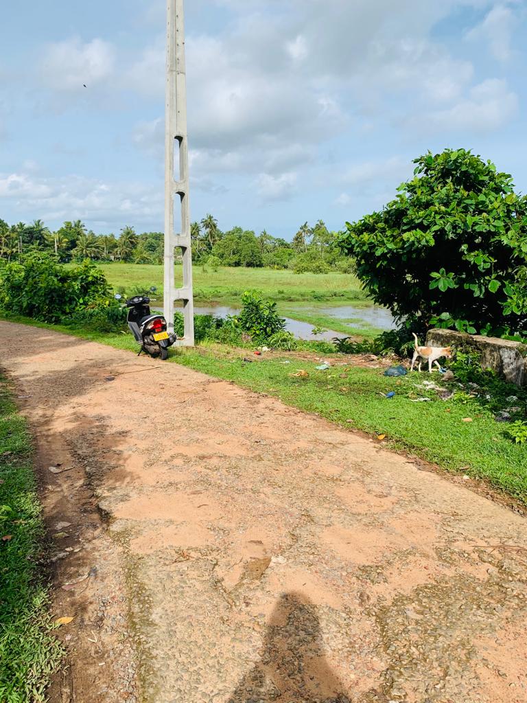 Land For sale In Ahangama