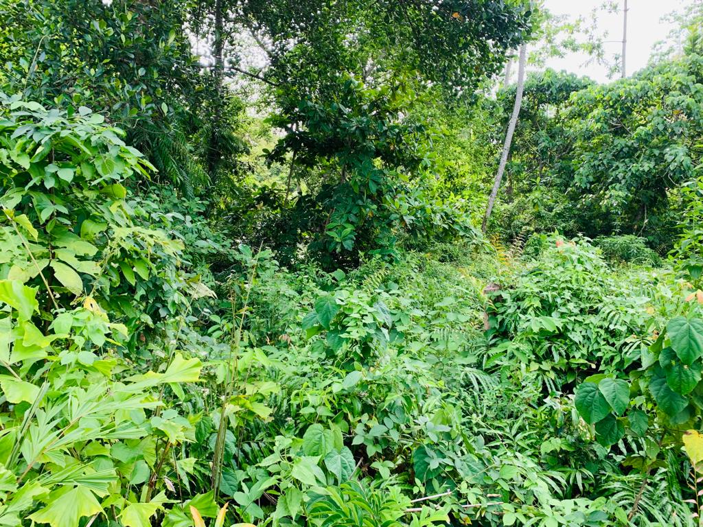 Land For sale In Ahangama